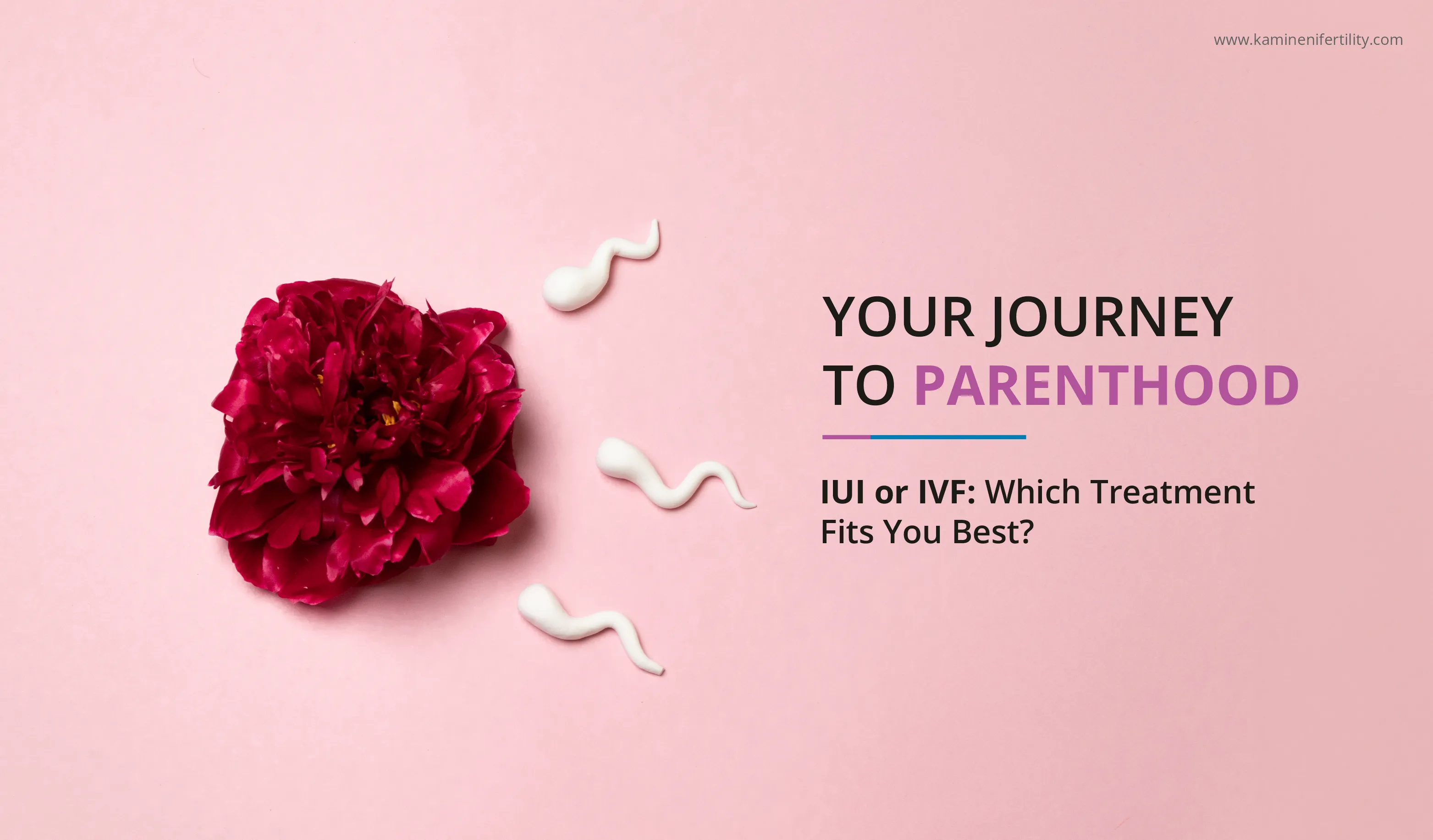 IVF Centres in Hyderabad IVF Centres in Hyderabad