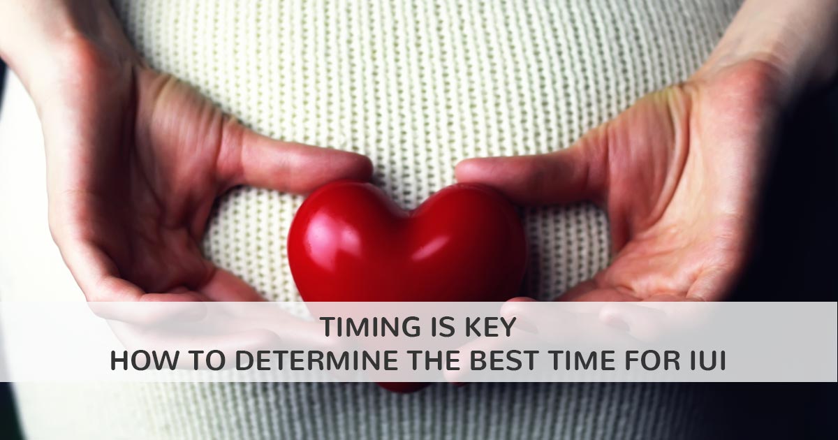 Timing is Key IUI
