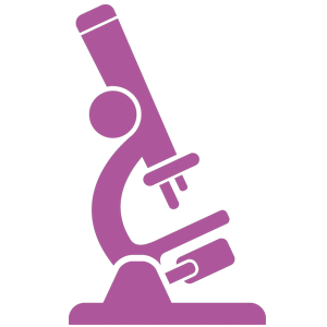 State of the Art Labs