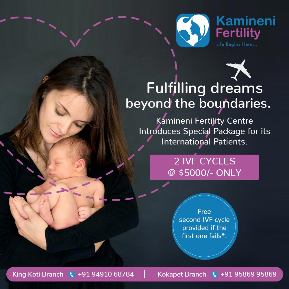 ivf cycle post